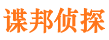 内江市场调查